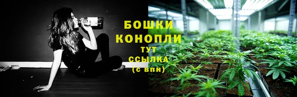 PSILOCYBIN Иннополис