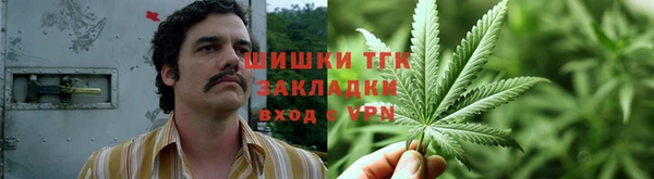 PSILOCYBIN Иннополис