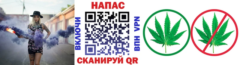 Конопля Bruce Banner  Купить закладки  Городец 
